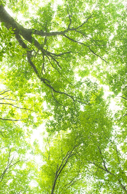 募集イメージ01