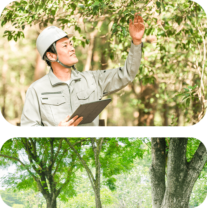 募集イメージ02